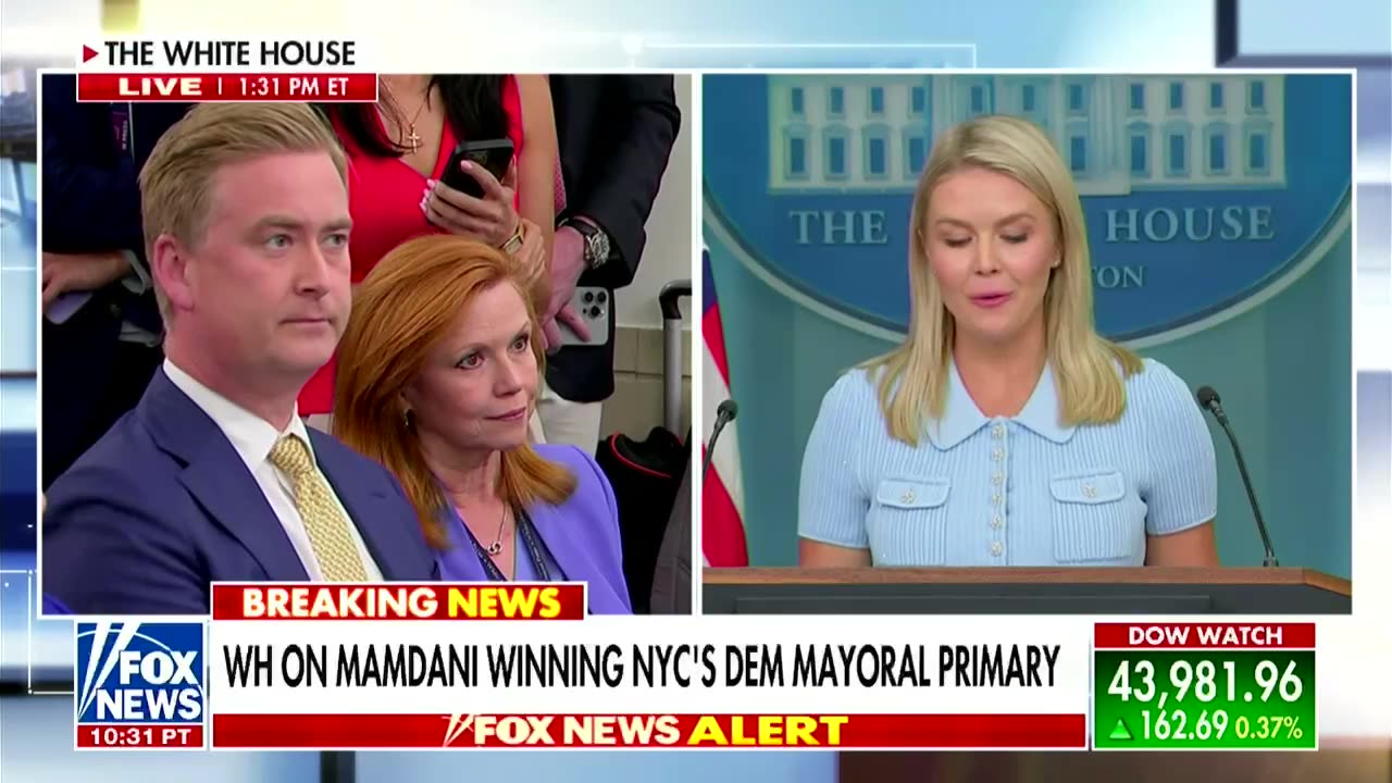Peter Doocy floats deporting NYC mayoral candidate 'based on rap lyrics'