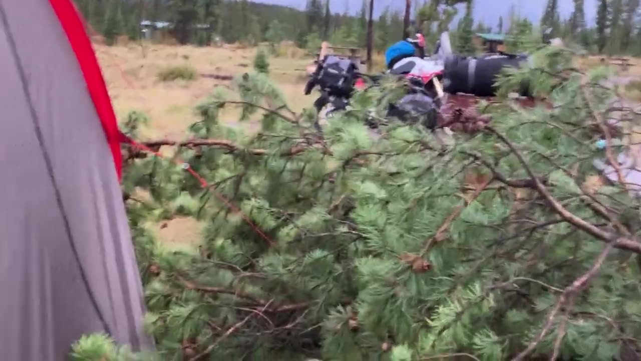 A tree fell on the tent! -Jasper, Canada - Ice 2 Fire Episode 12