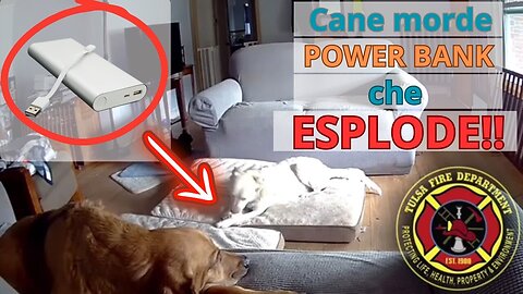 Cane Morde Power Bank: Esplosione e Incendio Devastano la Casa