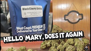 Black Cherry Gelato 🍒 Hello Mary