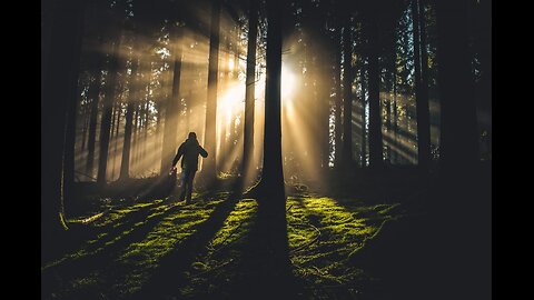 Walking in the Light: The Fruits of Righteous Resistance