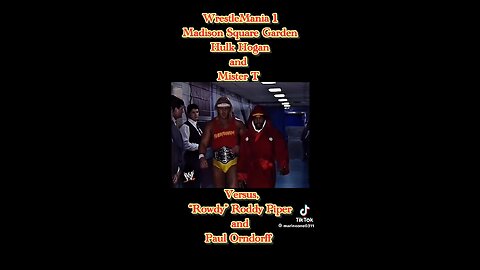 Hulk Hogan tribute 2
