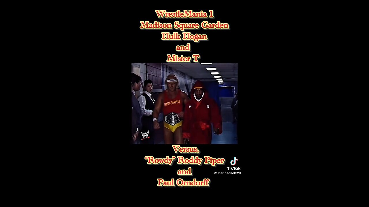 Hulk Hogan tribute 2
