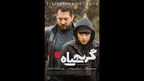 فیلم "گربه سیاه"