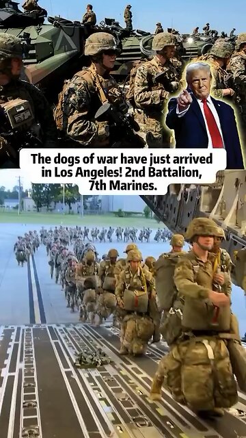 The Dogs Of War Have Arrived In LA