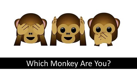Which Monkey are you?