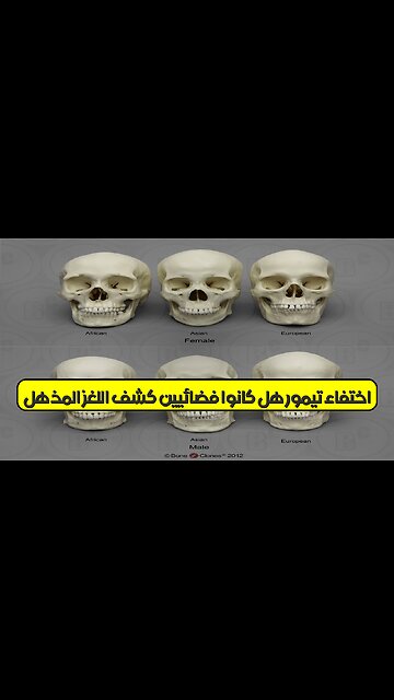 اختفاء تيمور: هل كانوا فضائيين؟ كشف اللغز المذهل! #تيمور #غموض #حضارات