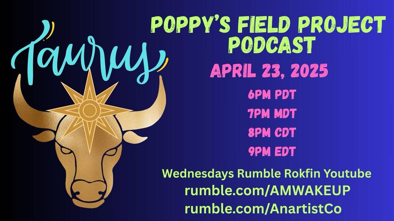04/23/2025 Poppy's Field Project