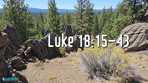 Luke 18:15-43, Bible Reading in Nature, BSB