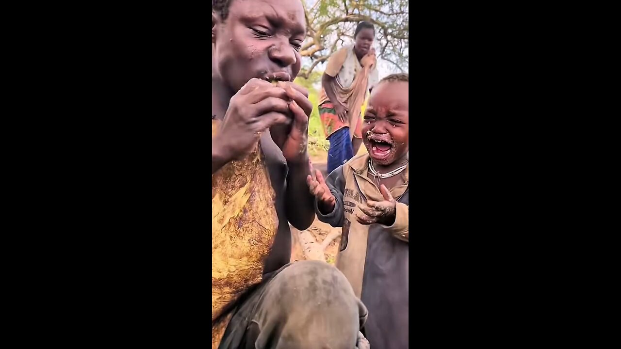 african life, wild wildlife