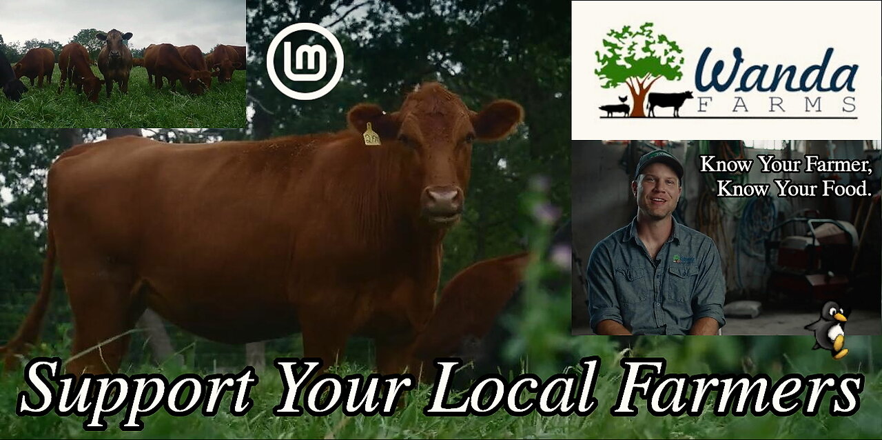 Wanda Farms (Regenerative Agriculture)