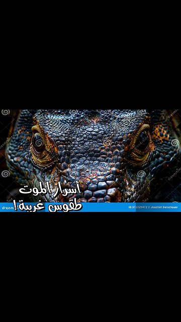 طقوس جنائزية غريبة! أسرار الموت عبر التاريخ