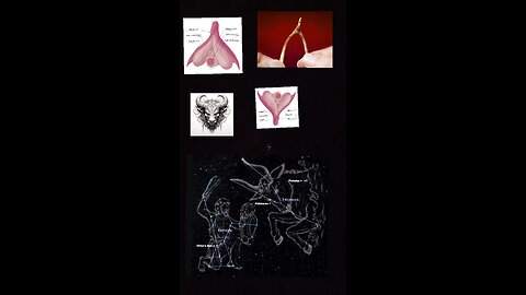 TAURUS THE BULLS CLITORIS