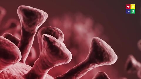 "No Pathogen Could Truly Threaten Homo Sapiens for 300,000 Years"