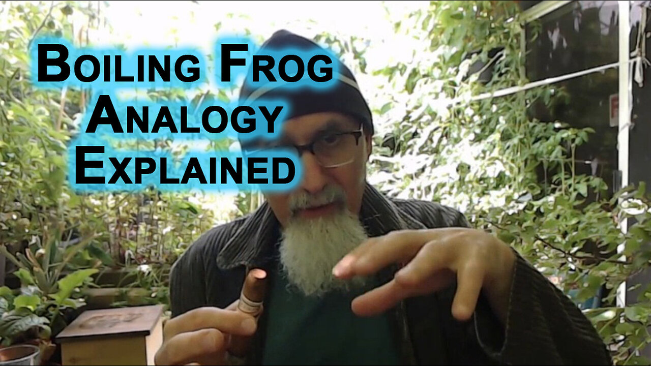 Boiling Frog Analogy Explained: Masses in the Western World Have Been Lobotomized by Propaganda