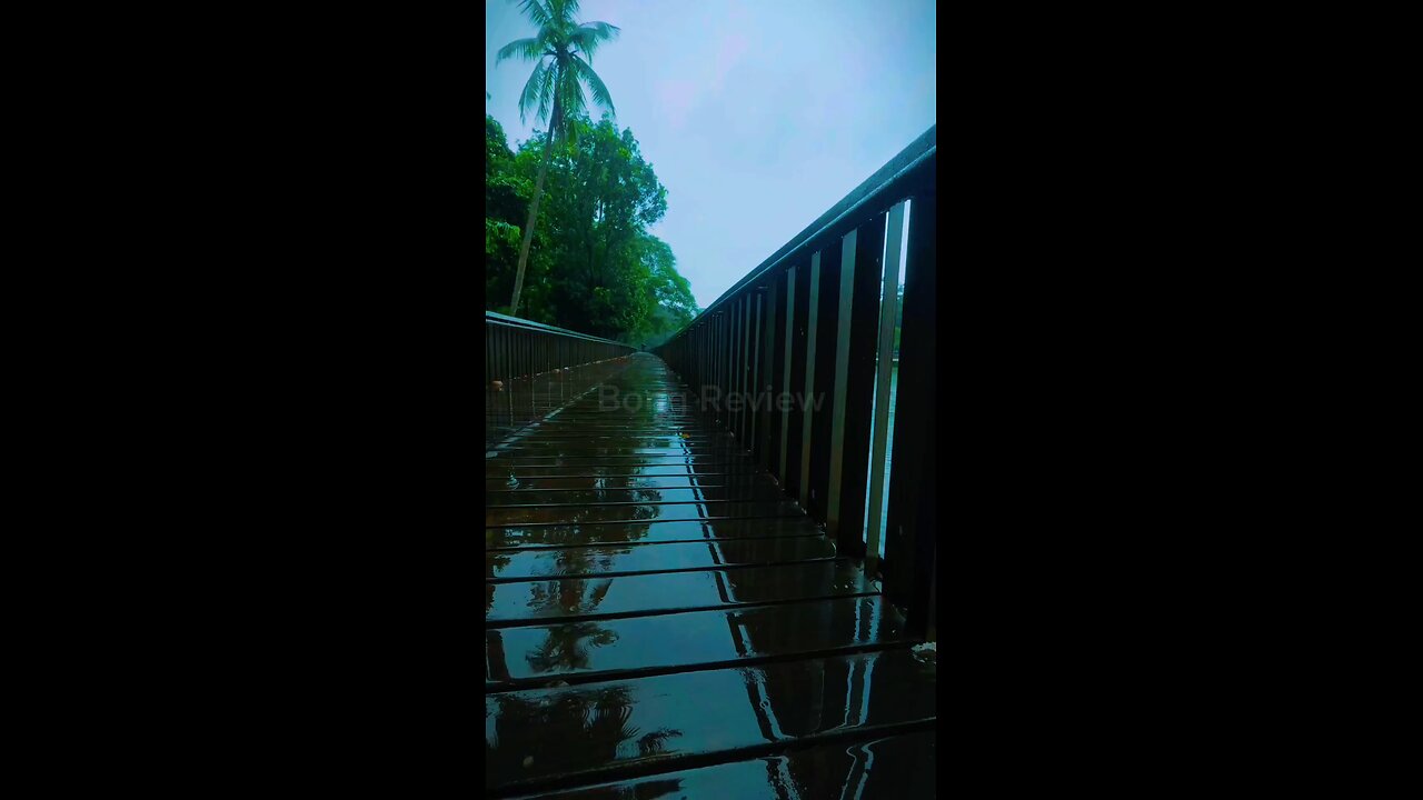 Rainfall on Wooden Bridge 🌧️ | Peaceful Nature Scene with Cloudy Sky |Shot on DJI Osmo Action 5 Pro