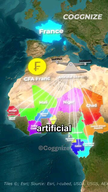 How France Still Earns Billions from African Colonies TODAY #shorts