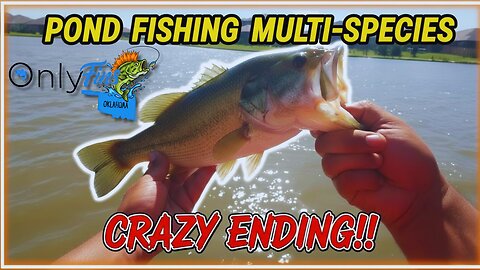 Crazy Ending To A Wonderful Fishing Day