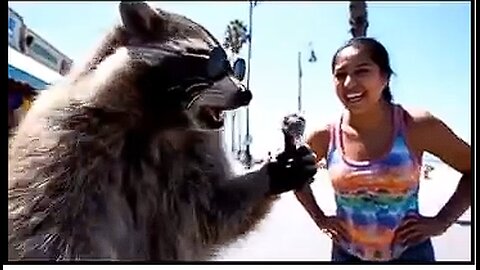 Would you date a raccoon