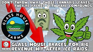 Glass House Braces for Big Revenue Hit After ICE Raids