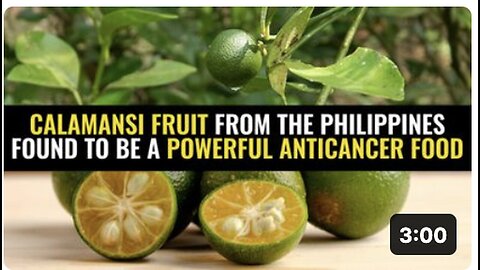 "Philippine Calamansi Fruit Discovered as Potent Anticancer Superfood"