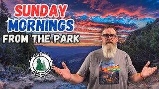 Sunday Mornings From The Park