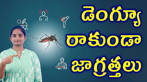 డెంగ్యూ రాకుండా జాగ్రత్తలు Precautions Of Dengue Breakbone fever Homeopathy Treatment Medicine Cure