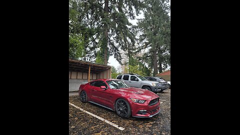 IRL bringing my mustang back