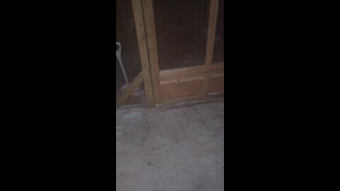 wintertime chicken coop mods