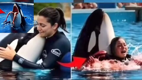 Jessica Orca Attack Incident | Real Footage from Marine Park Show 💔 #jessica