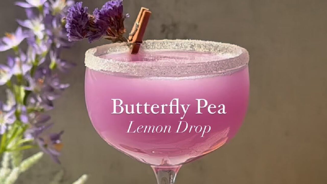 COCKTAIL BUTTERFLY PEA LEMON DROP
