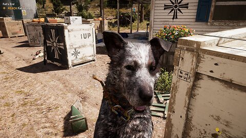 Far Cry 5, chillin with our new dog Mclane