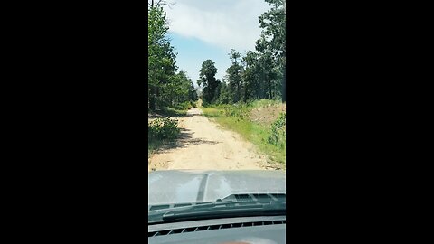 The pain is the process | don’t run, rise