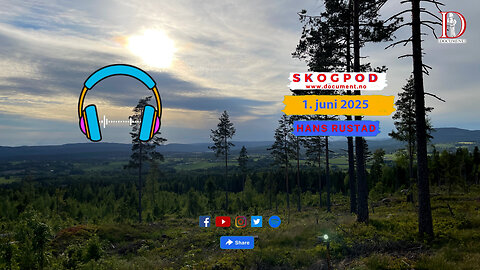 Skogpod 1. juni 2025