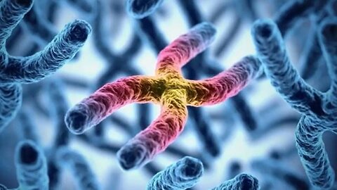 The Amino Age (The truth about genetics)