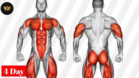 The Best Full Body Workout At Home Great Day #fullbody #workout_at_home