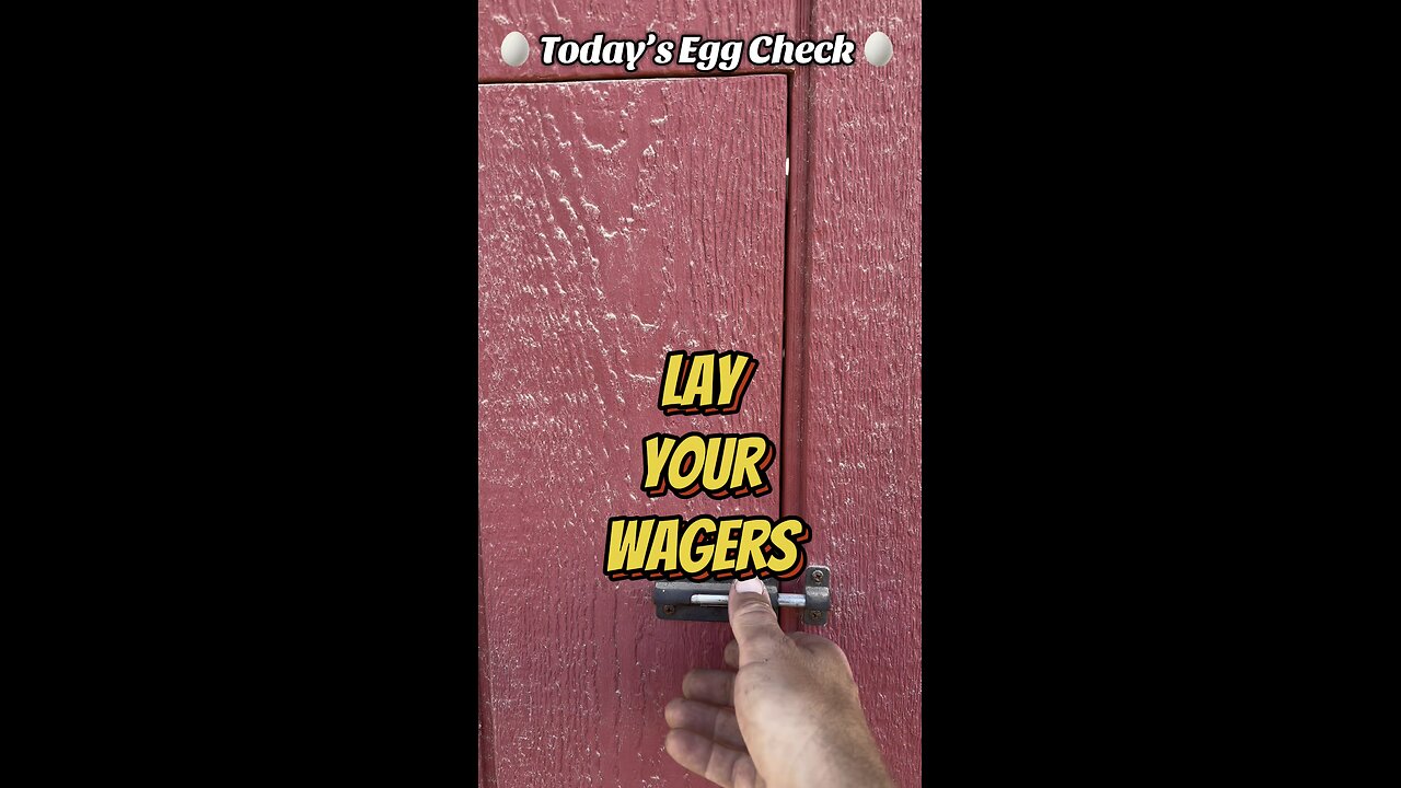 🥚 Today’s 🐔 Egg Check! 🥚 #shorts