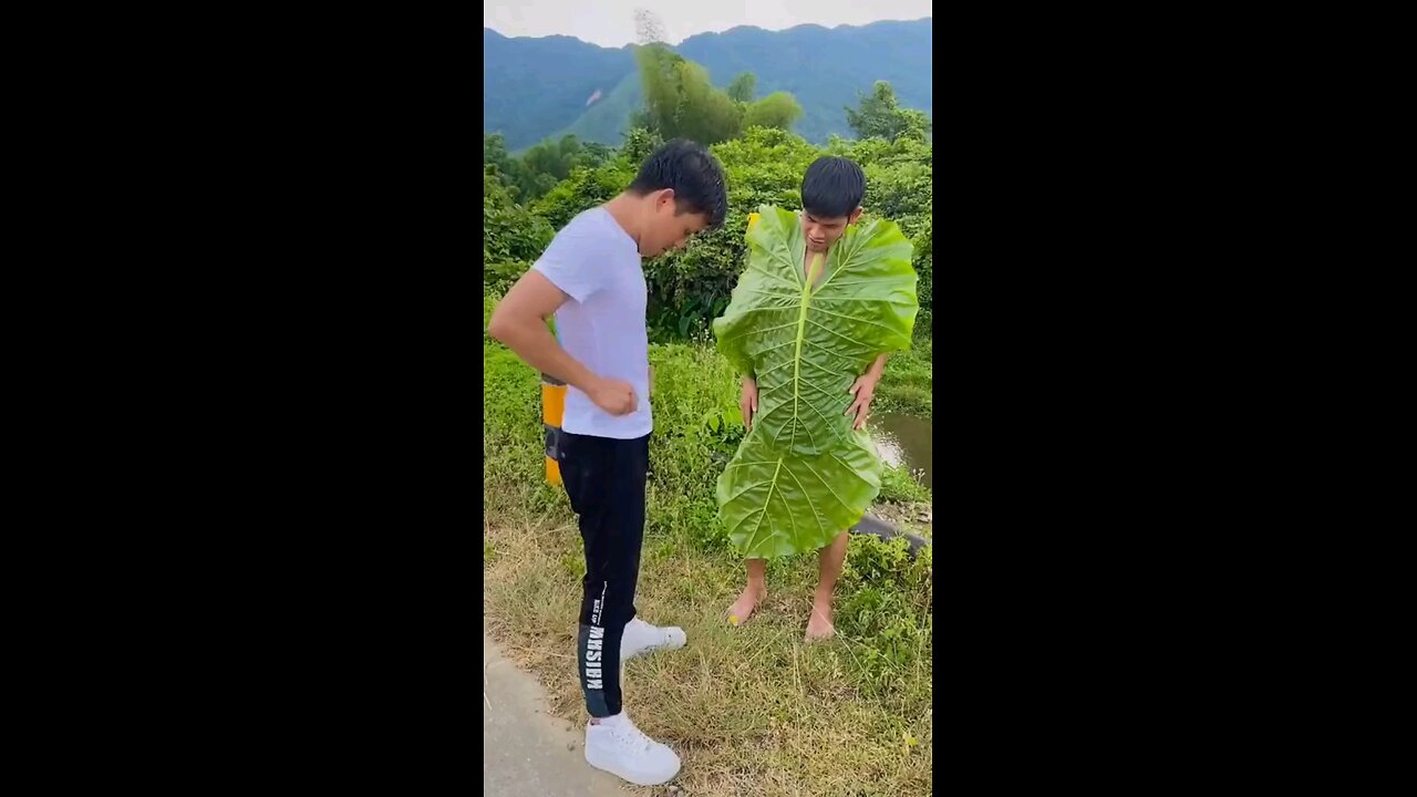 funny video