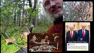 European Council. Ashwagandha. DMSO healing. Raskin threatens foreign leaders. Trump&Bibi. Abundance