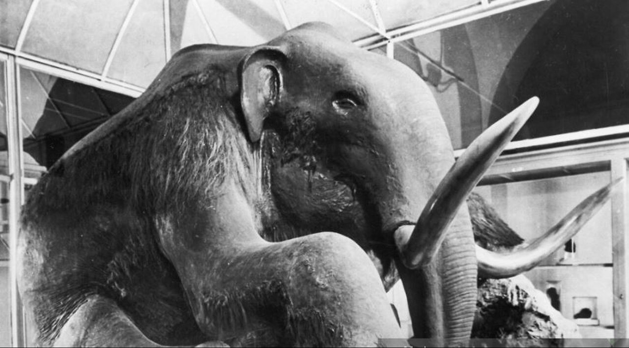 Berezovka Mammoth & the Clovis People-RMR#24