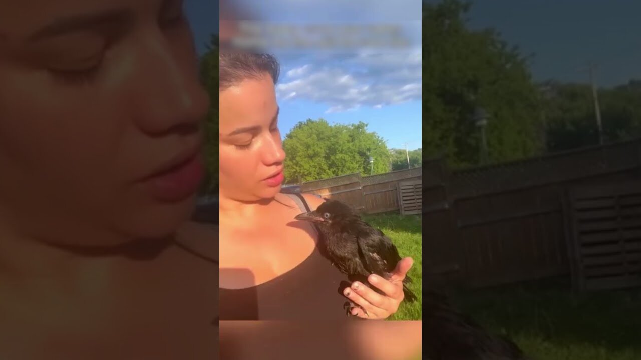 The girl decided to make friends with the crow and heres what came out of it