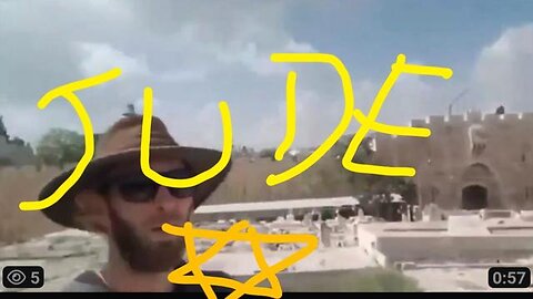 Adam Green greenstein greenberg visits Palestine to fuck the wall