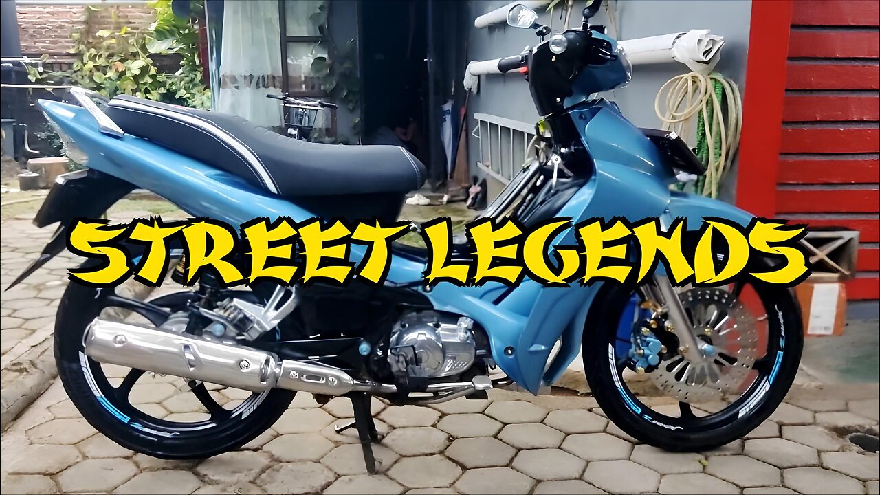 Caring for Southeast Asia's Street Legend