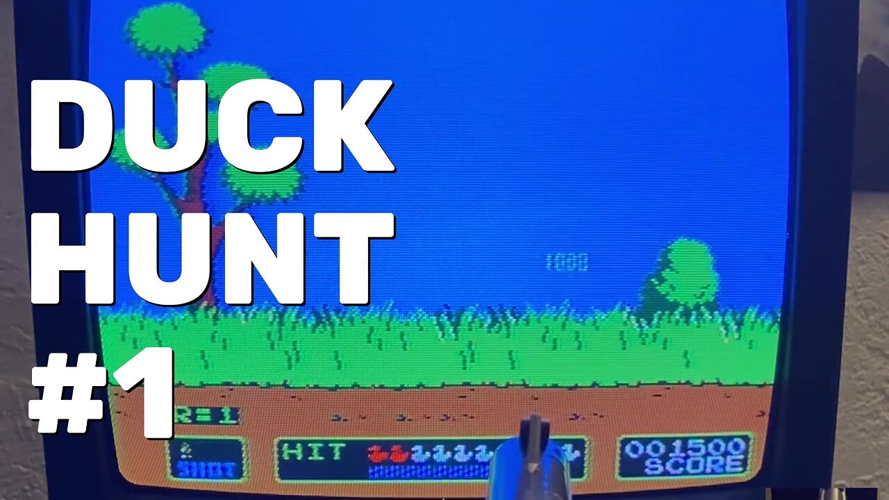 Duck Hunt NES Gameplay Part 1 - CRT Gaming