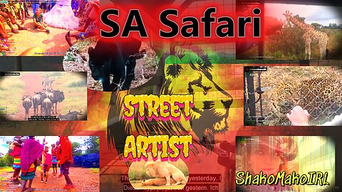 ShakoMako IRL Safari . Connection lost...Give me a sec