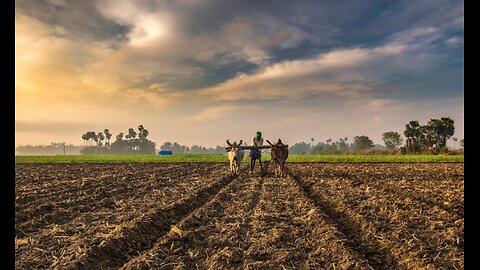 India Agriculture Market Size & Share Analysis 2034