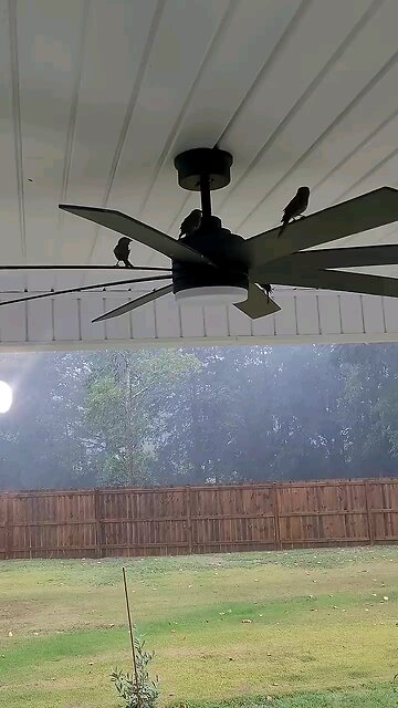 Going Around in the Rain