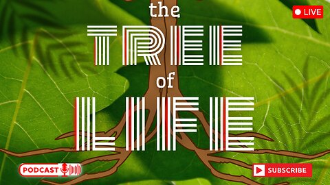 The Tree of Life | Bible Study