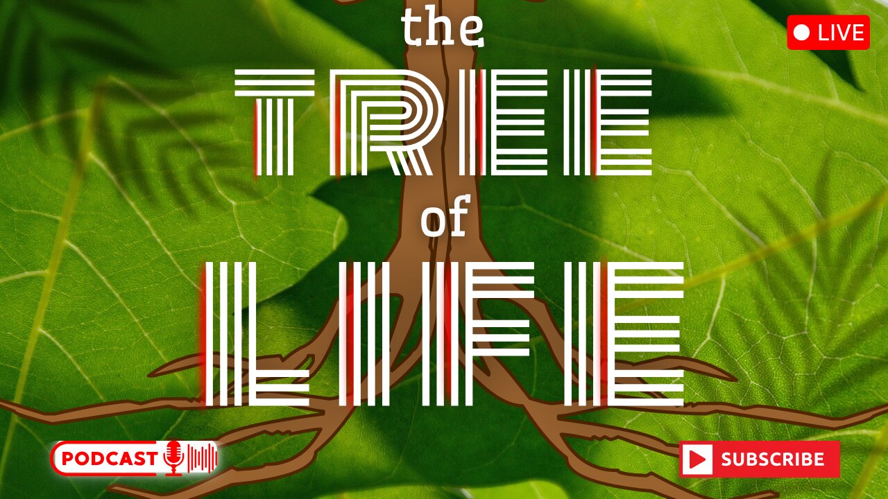 The Tree of Life | Bible Study