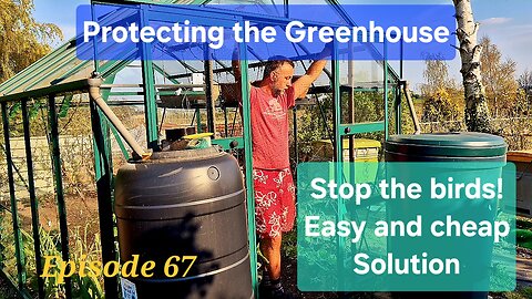 Greenhouse Net Door. Quick Fix to Protect Your Garden from Pheasants or Pigeons. DIY/Allotment style